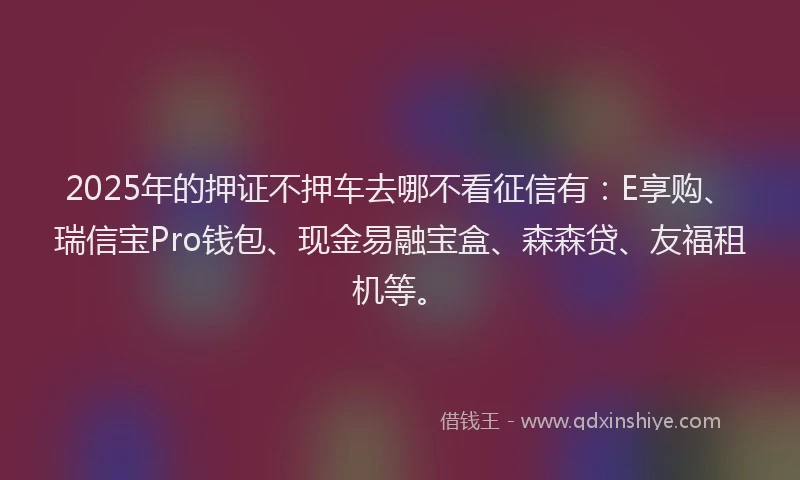 2025年的押证不押车去哪不看征信有：E享购、瑞信宝Pro钱包、现金易融宝盒、森森贷、友福租机等。