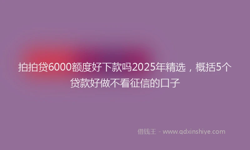 拍拍贷6000额度好下款吗2025年精选，概括5个贷款好做不看征信的口子