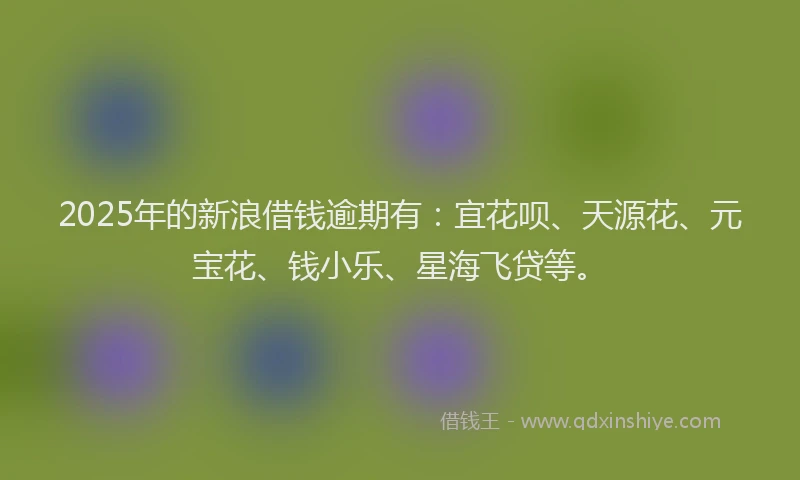 2025年的新浪借钱逾期有：宜花呗、天源花、元宝花、钱小乐、星海飞贷等。