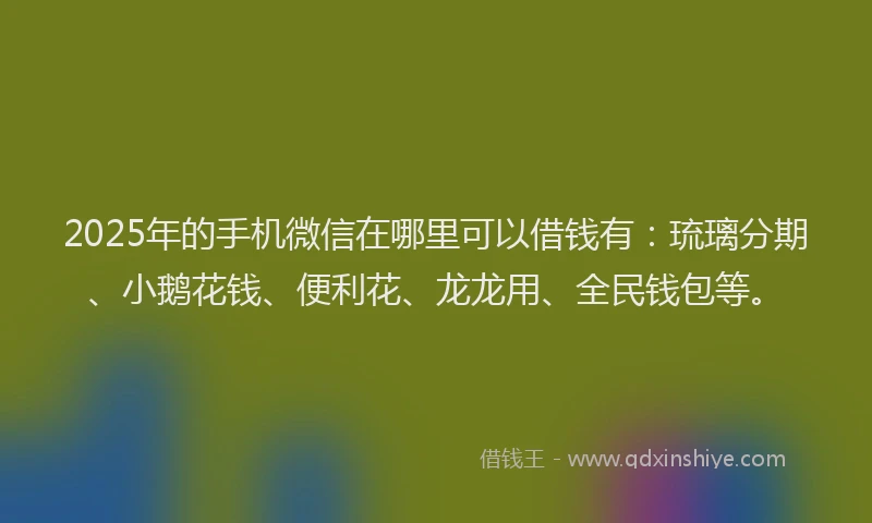 2025年的手机微信在哪里可以借钱有：琉璃分期、小鹅花钱、便利花、龙龙用、全民钱包等。