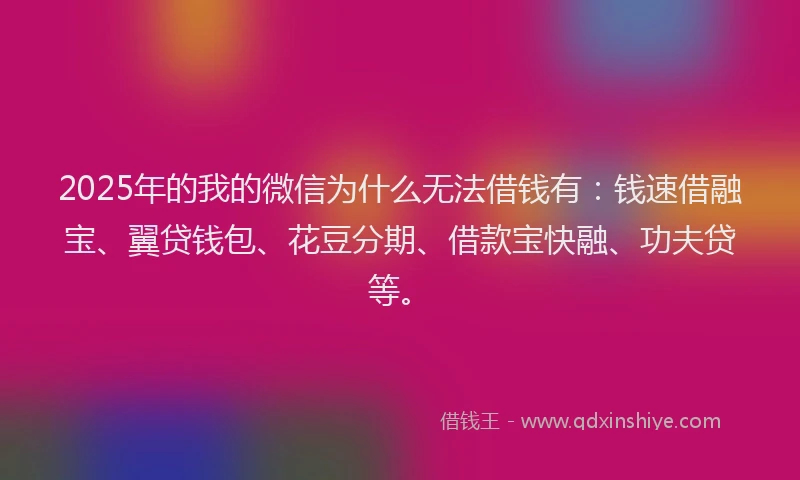 2025年的我的微信为什么无法借钱有：钱速借融宝、翼贷钱包、花豆分期、借款宝快融、功夫贷等。