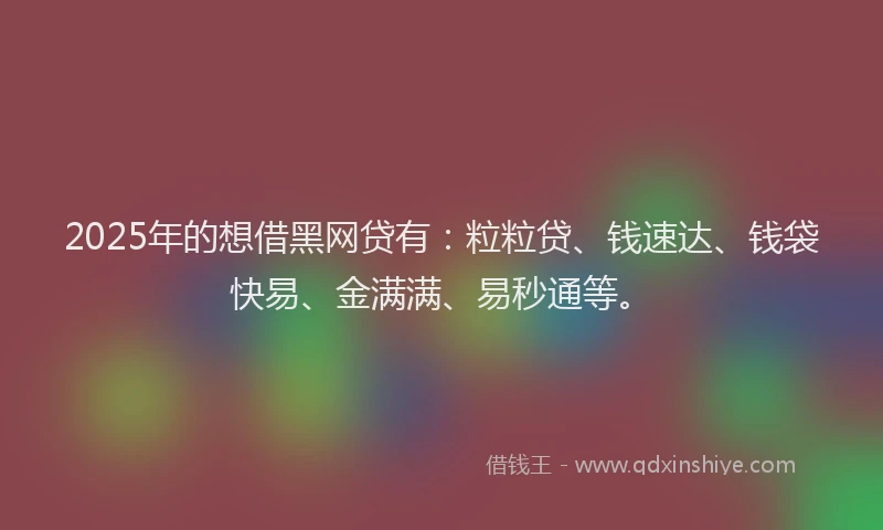 2025年的想借黑网贷有：粒粒贷、钱速达、钱袋快易、金满满、易秒通等。