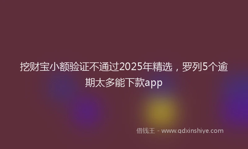 挖财宝小额验证不通过2025年精选，罗列5个逾期太多能下款app