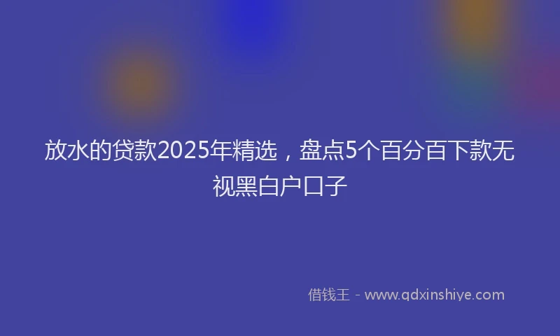 放水的贷款2025年精选，盘点5个百分百下款无视黑白户口子