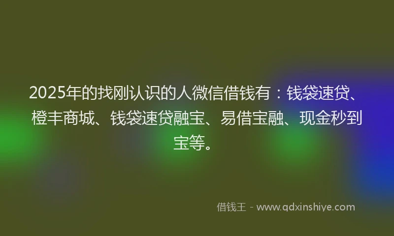 2025年的找刚认识的人微信借钱有：钱袋速贷、橙丰商城、钱袋速贷融宝、易借宝融、现金秒到宝等。
