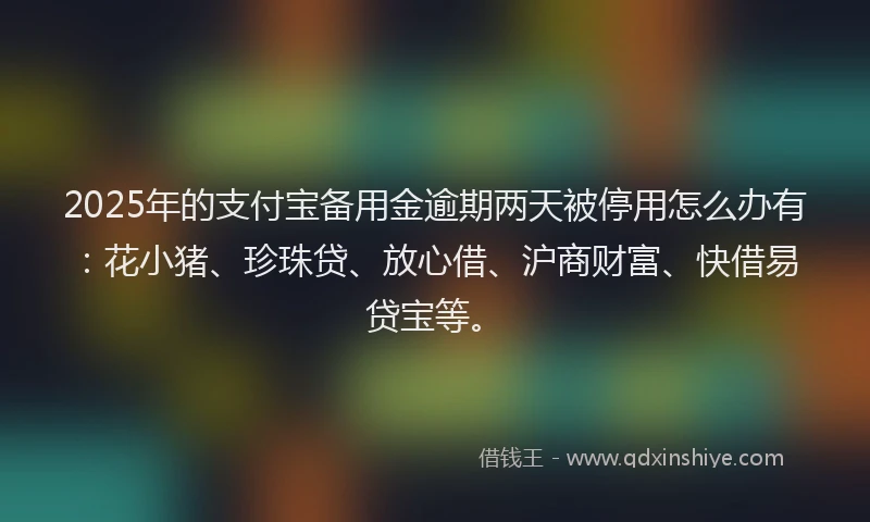 2025年的支付宝备用金逾期两天被停用怎么办有：花小猪、珍珠贷、放心借、沪商财富、快借易贷宝等。