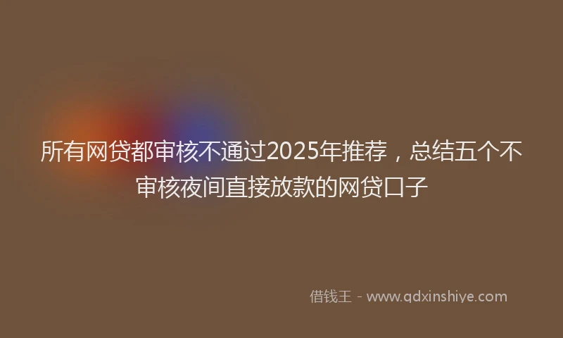 所有网贷都审核不通过2025年推荐，总结五个不审核夜间直接放款的网贷口子