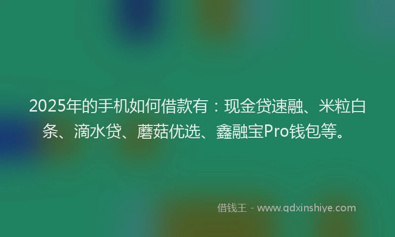 2025年的手机如何借款有：现金贷速融、米粒白条、滴水贷、蘑菇优选、鑫融宝Pro钱包等。