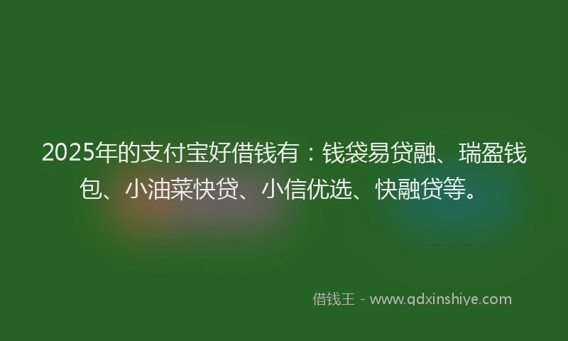 2025年的支付宝好借钱有：钱袋易贷融、瑞盈钱包、小油菜快贷、小信优选、快融贷等。