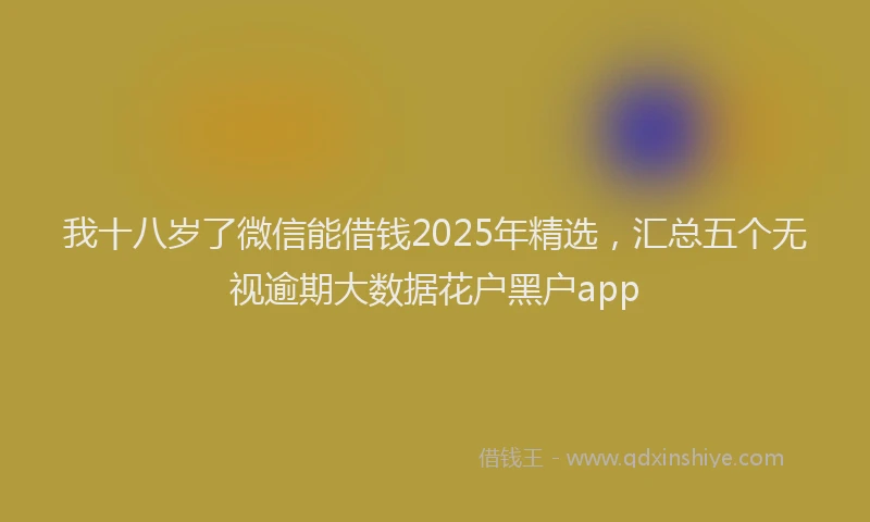 我十八岁了微信能借钱2025年精选，汇总五个无视逾期大数据花户黑户app
