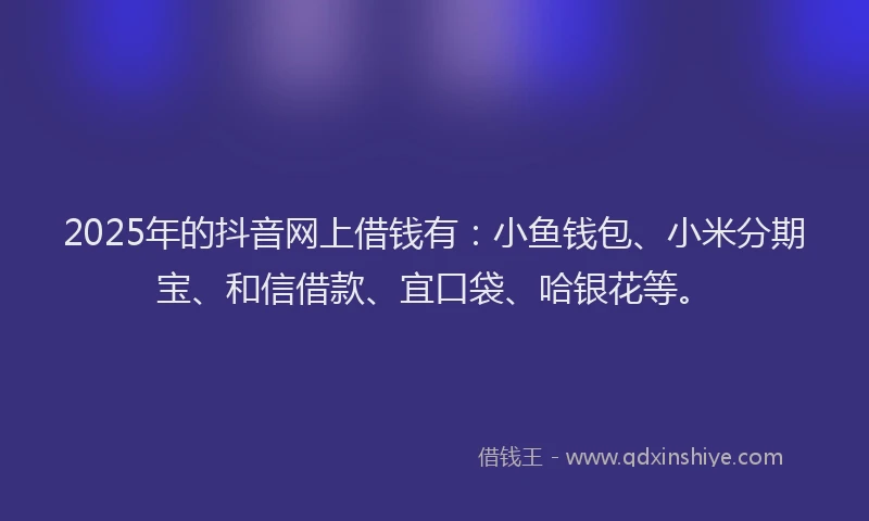 2025年的抖音网上借钱有：小鱼钱包、小米分期宝、和信借款、宜口袋、哈银花等。