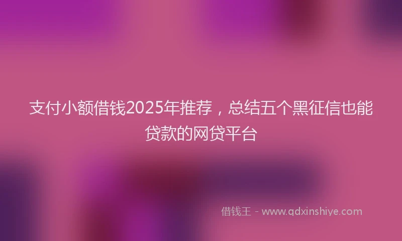 支付小额借钱2025年推荐，总结五个黑征信也能贷款的网贷平台