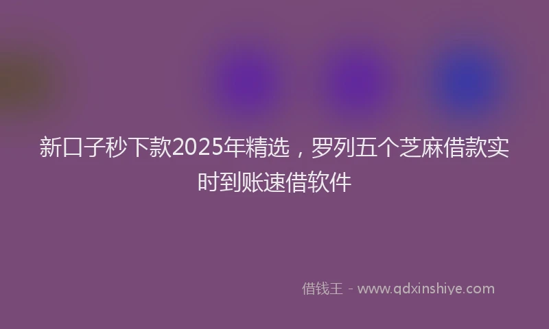 新口子秒下款2025年精选，罗列五个芝麻借款实时到账速借软件