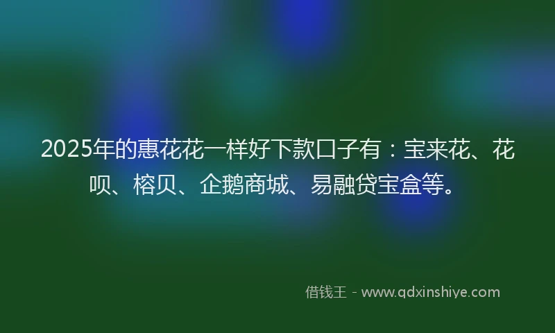 2025年的惠花花一样好下款口子有：宝来花、花呗、榕贝、企鹅商城、易融贷宝盒等。