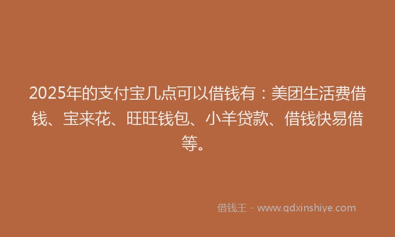 2025年的支付宝几点可以借钱有：美团生活费借钱、宝来花、旺旺钱包、小羊贷款、借钱快易借等。