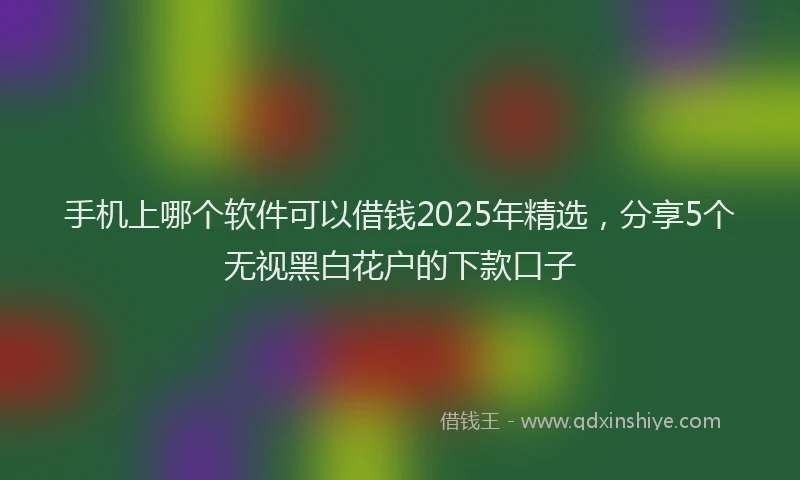手机上哪个软件可以借钱2025年精选，分享5个无视黑白花户的下款口子
