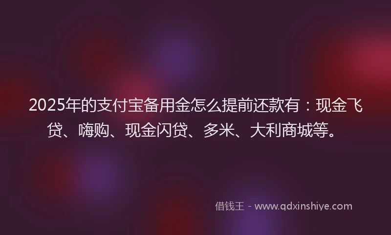 2025年的支付宝备用金怎么提前还款有：现金飞贷、嗨购、现金闪贷、多米、大利商城等。
