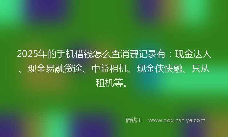 2025年的手机借钱怎么查消费记录有：现金达人、现金易融贷途、中益租机、现金侠快融、只从租机等。
