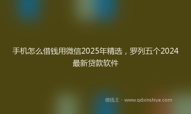手机怎么借钱用微信2025年精选，罗列五个2024最新贷款软件