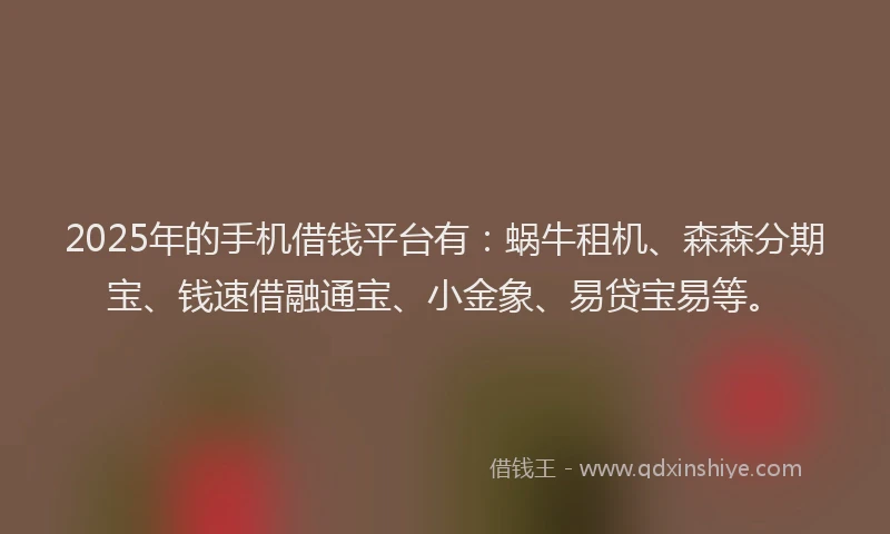 2025年的手机借钱平台有：蜗牛租机、森森分期宝、钱速借融通宝、小金象、易贷宝易等。