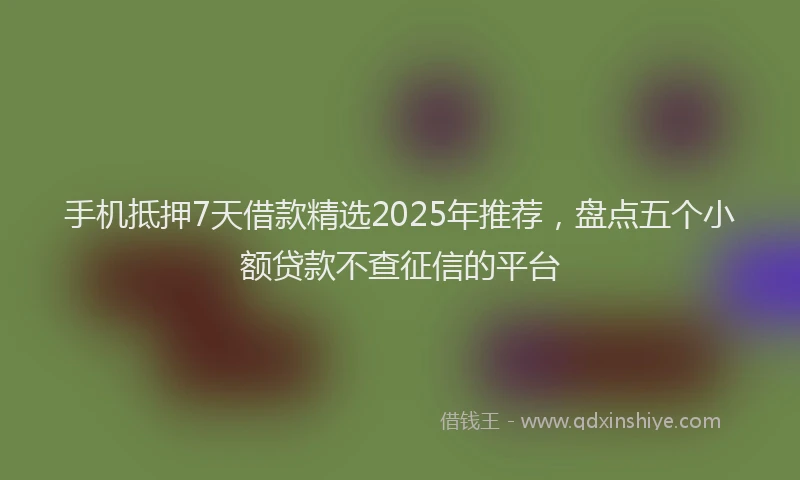 手机抵押7天借款精选2025年推荐，盘点五个小额贷款不查征信的平台