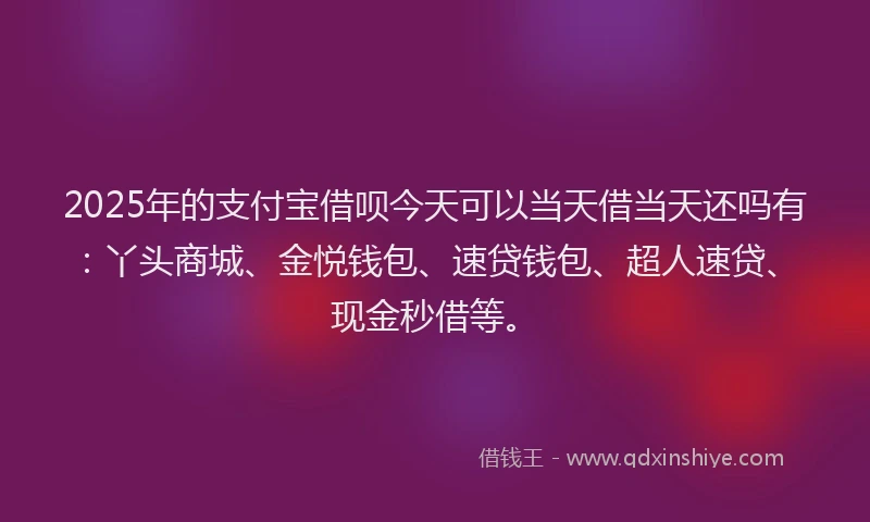 2025年的支付宝借呗今天可以当天借当天还吗有：丫头商城、金悦钱包、速贷钱包、超人速贷、现金秒借等。