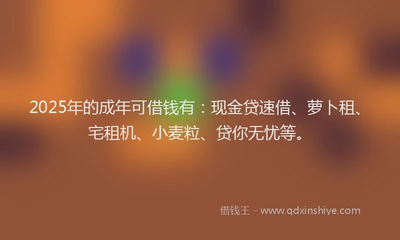 2025年的成年可借钱有：现金贷速借、萝卜租、宅租机、小麦粒、贷你无忧等。