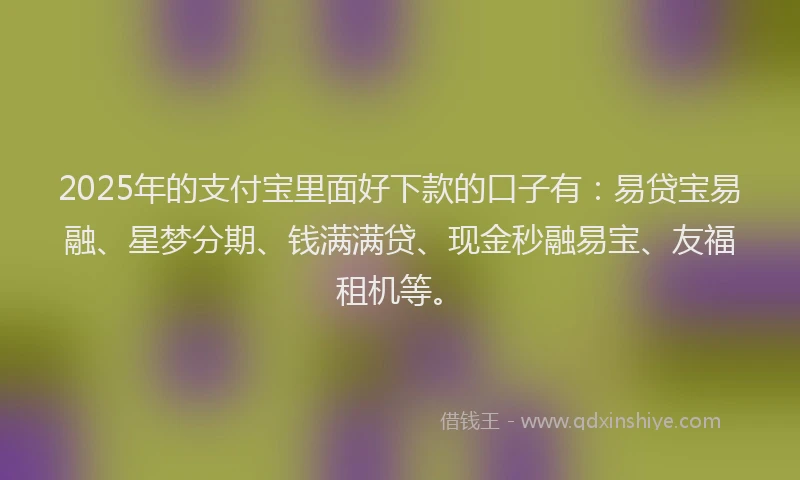 2025年的支付宝里面好下款的口子有：易贷宝易融、星梦分期、钱满满贷、现金秒融易宝、友福租机等。