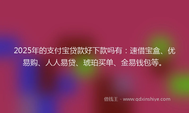 2025年的支付宝贷款好下款吗有：速借宝盒、优易购、人人易贷、琥珀买单、金易钱包等。