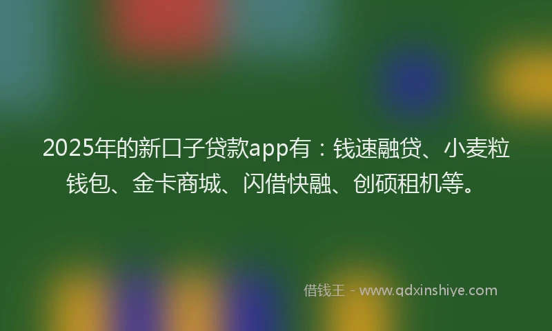 2025年的新口子贷款app有：钱速融贷、小麦粒钱包、金卡商城、闪借快融、创硕租机等。