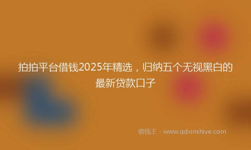拍拍平台借钱2025年精选，归纳五个无视黑白的最新贷款口子