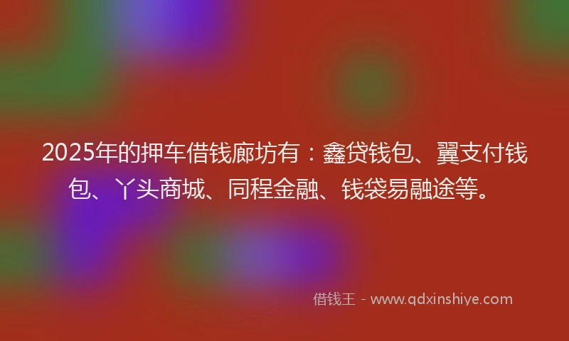 2025年的押车借钱廊坊有：鑫贷钱包、翼支付钱包、丫头商城、同程金融、钱袋易融途等。