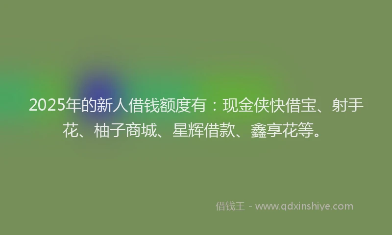 2025年的新人借钱额度有：现金侠快借宝、射手花、柚子商城、星辉借款、鑫享花等。
