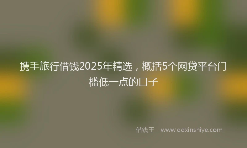 携手旅行借钱2025年精选，概括5个网贷平台门槛低一点的口子