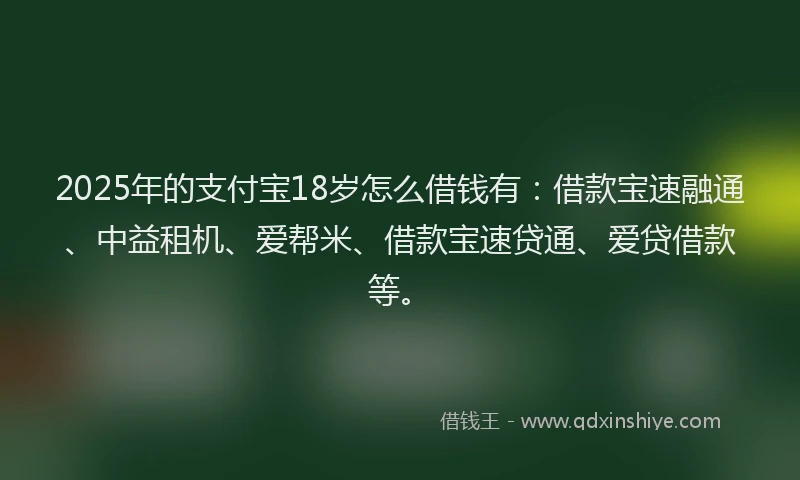 2025年的支付宝18岁怎么借钱有：借款宝速融通、中益租机、爱帮米、借款宝速贷通、爱贷借款等。