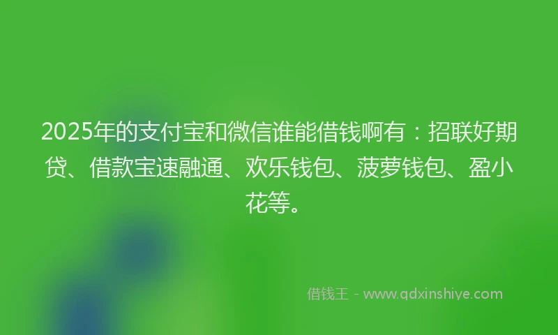 2025年的支付宝和微信谁能借钱啊有：招联好期贷、借款宝速融通、欢乐钱包、菠萝钱包、盈小花等。