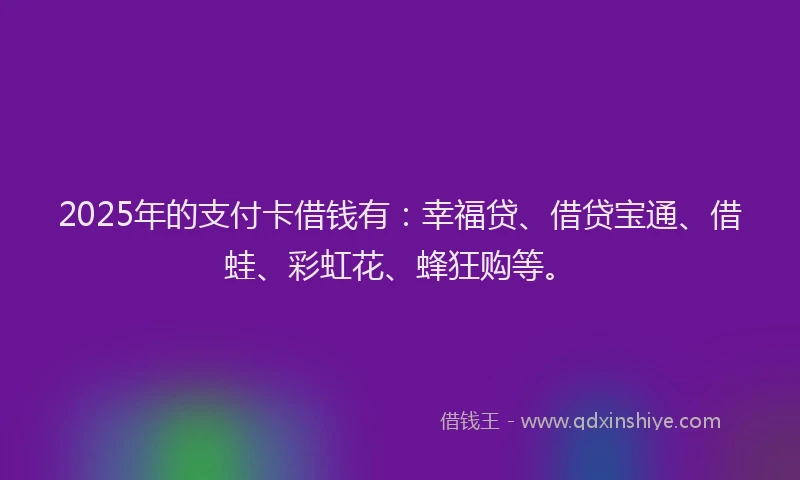 2025年的支付卡借钱有：幸福贷、借贷宝通、借蛙、彩虹花、蜂狂购等。