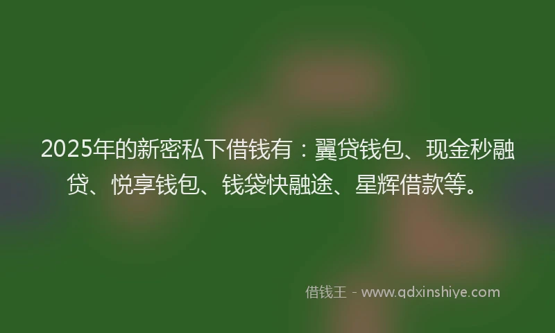 2025年的新密私下借钱有：翼贷钱包、现金秒融贷、悦享钱包、钱袋快融途、星辉借款等。