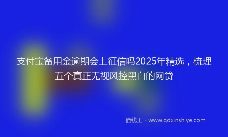 支付宝备用金逾期会上征信吗2025年精选，梳理五个真正无视风控黑白的网贷