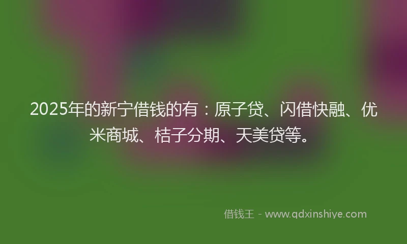 2025年的新宁借钱的有：原子贷、闪借快融、优米商城、桔子分期、天美贷等。