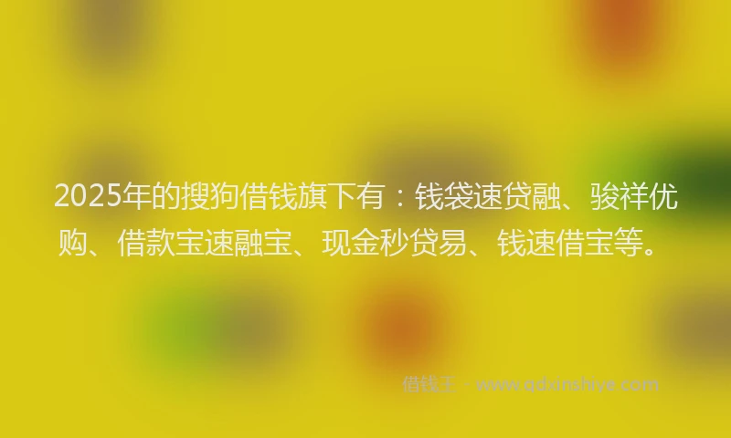 2025年的搜狗借钱旗下有：钱袋速贷融、骏祥优购、借款宝速融宝、现金秒贷易、钱速借宝等。