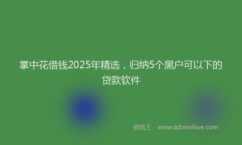 掌中花借钱2025年精选，归纳5个黑户可以下的贷款软件