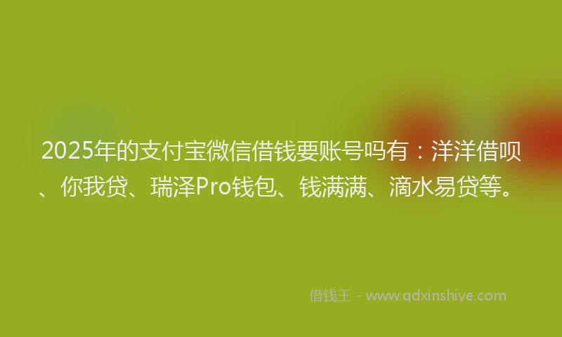 2025年的支付宝微信借钱要账号吗有：洋洋借呗、你我贷、瑞泽Pro钱包、钱满满、滴水易贷等。