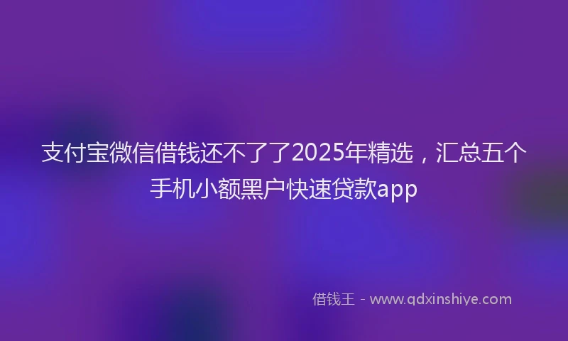支付宝微信借钱还不了了2025年精选，汇总五个手机小额黑户快速贷款app