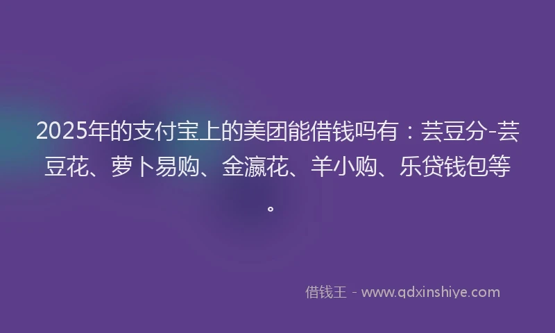 2025年的支付宝上的美团能借钱吗有：芸豆分-芸豆花、萝卜易购、金瀛花、羊小购、乐贷钱包等。