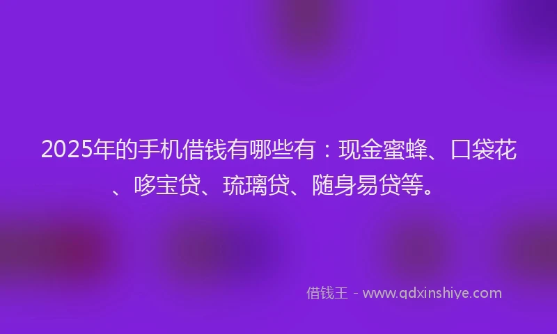 2025年的手机借钱有哪些有：现金蜜蜂、口袋花、哆宝贷、琉璃贷、随身易贷等。