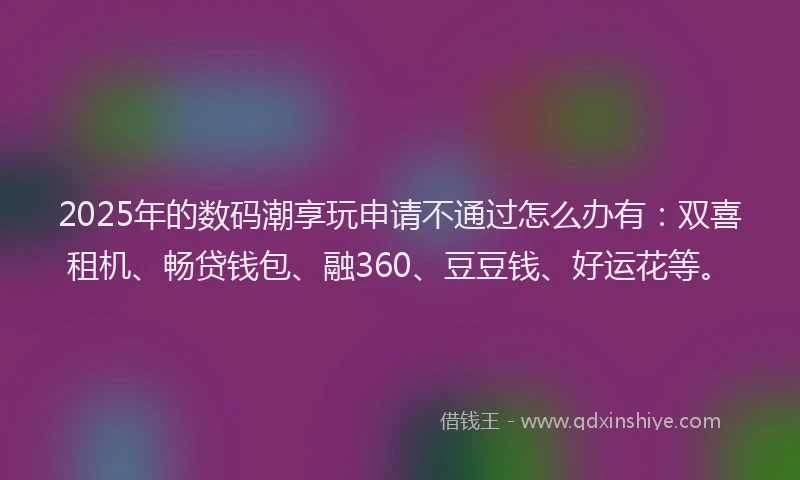 2025年的数码潮享玩申请不通过怎么办有：双喜租机、畅贷钱包、融360、豆豆钱、好运花等。