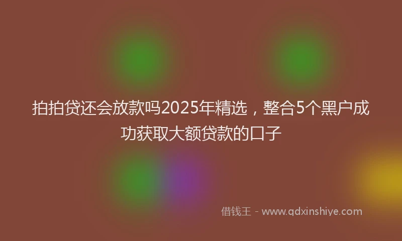 拍拍贷还会放款吗2025年精选，整合5个黑户成功获取大额贷款的口子