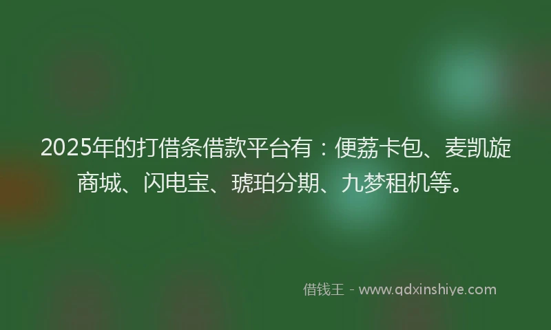 2025年的打借条借款平台有：便荔卡包、麦凯旋商城、闪电宝、琥珀分期、九梦租机等。