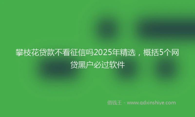 攀枝花贷款不看征信吗2025年精选，概括5个网贷黑户必过软件